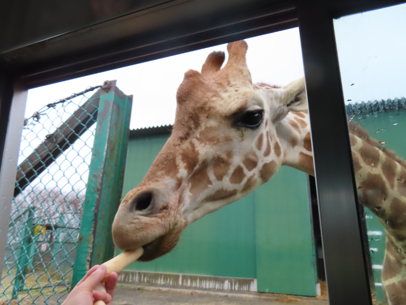 社員旅行in仙台・花巻